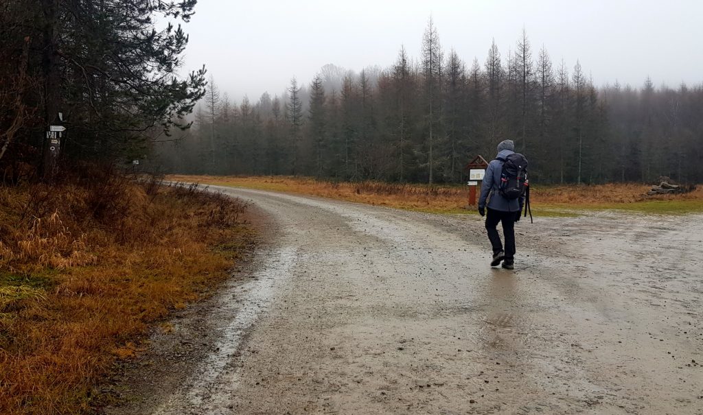 Blechnarka-droga na koniec świata