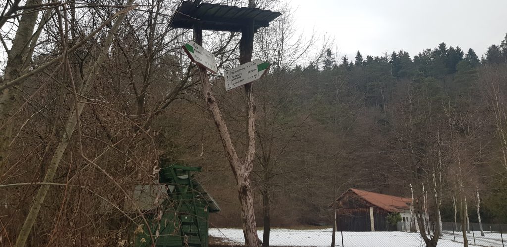 Zaczynamy trasę szlakiem zielonym przez rezerwat Styr na Pogórzu Rożnowskim