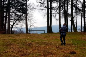 Widok z okolic Styru, Pogórze Rożnowskie