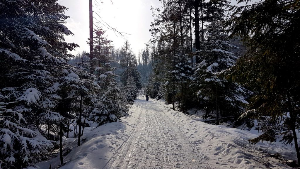 Droga z Brzezin do Murowańca na skiturach