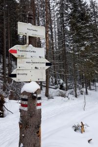 Przez Psią Trawkę na skiturach