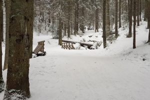 Zimowa droga na Wiktorówki