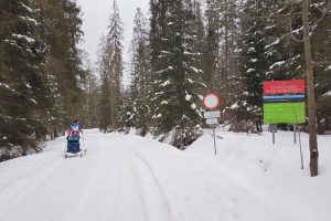 MC spacer przez Małe Ciche na nartach z dzieckiem w przyczepce