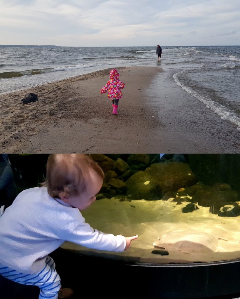 Rodzinnie nad morzem: Akwarium w Gdyni i Cypel Rewski