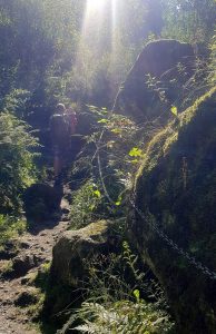 Pieniny: Łańcuchy w drodze na Wdżar