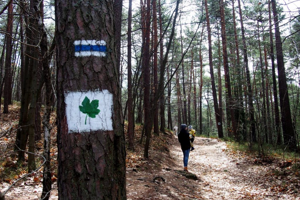 Kamienie ścieżka spacerowa