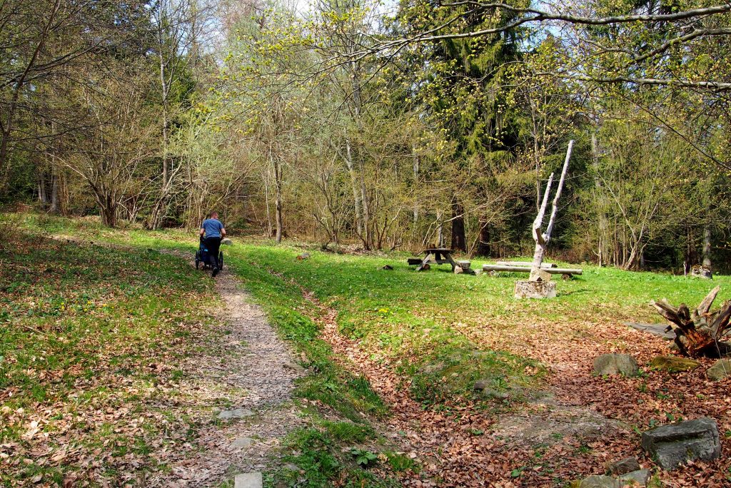 Beskid Niski, Magura Małastowska, okolice schroniska