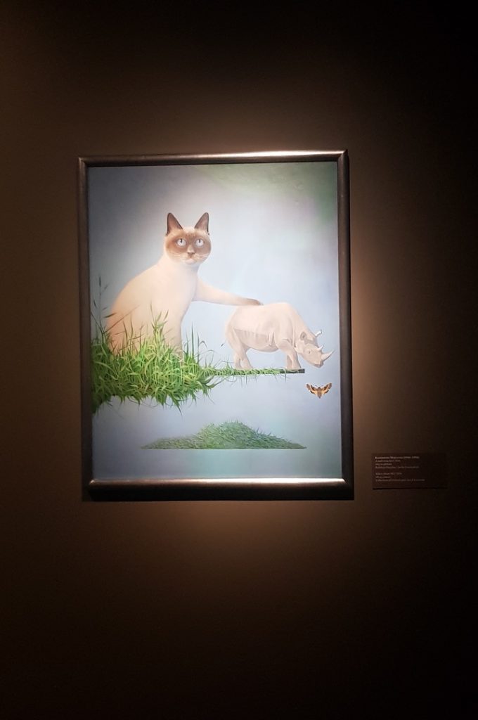 Muzeum Manggha - wystawa Ja, Kot