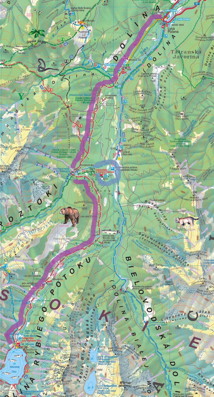 mapa: Łysa Polana - Morskie Oko