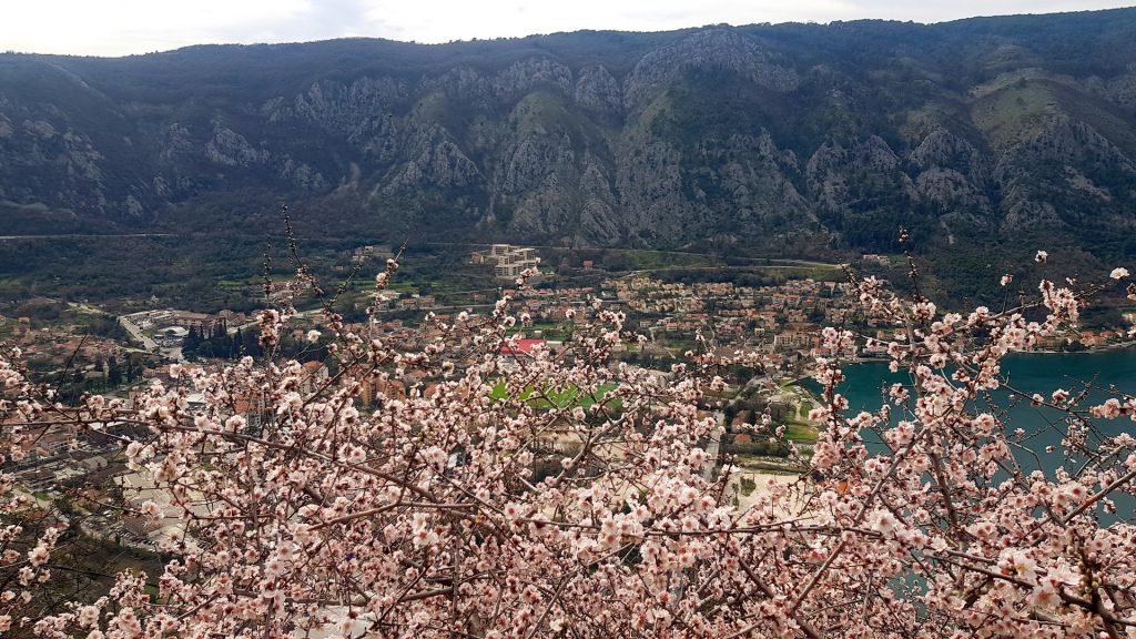 Czarnogóra wiosną jest piękna