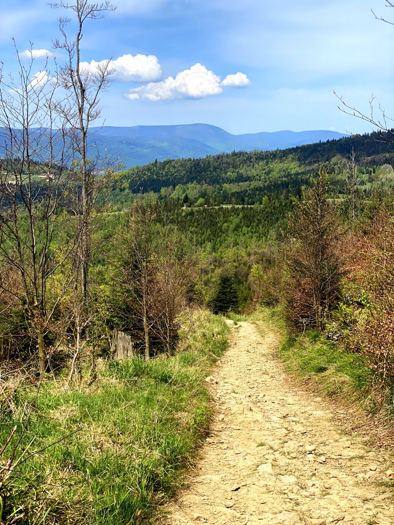 wędrówka z dzieckiem Beskid Żywiecki