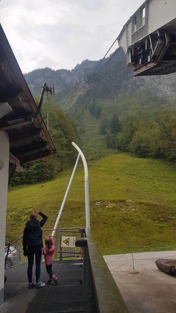 Vogel nad jeziorem Bohinj